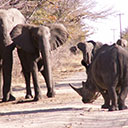 Wilderness Experience