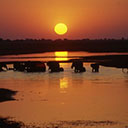 Wilderness Experience