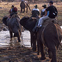 Wilderness Experience