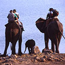 Wilderness Experience