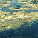 Wilderness Experience