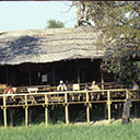 Wilderness Experience