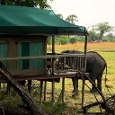 Wilderness Experience