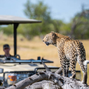 Wilderness Experience