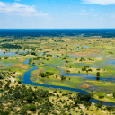 Wilderness Experience