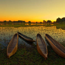 Wilderness Experience