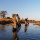 Wilderness Experience