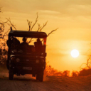 Wilderness Experience