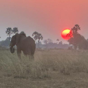 Wilderness Experience