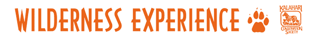 Wilderness Experience Tour Operator