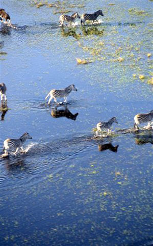 Wilderness Experience Tour Operator